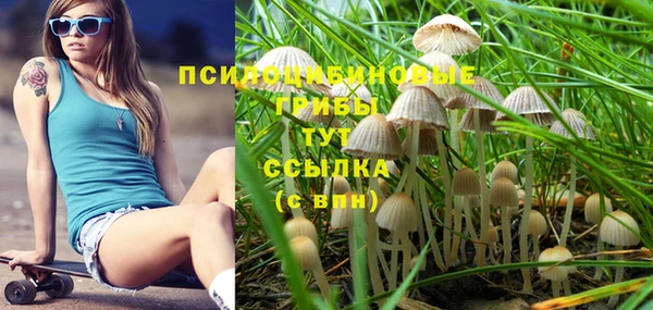 ПСИЛОЦИБИНОВЫЕ ГРИБЫ Алексеевка