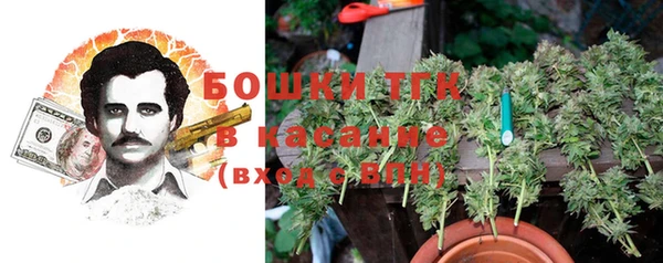 ПСИЛОЦИБИНОВЫЕ ГРИБЫ Алексеевка